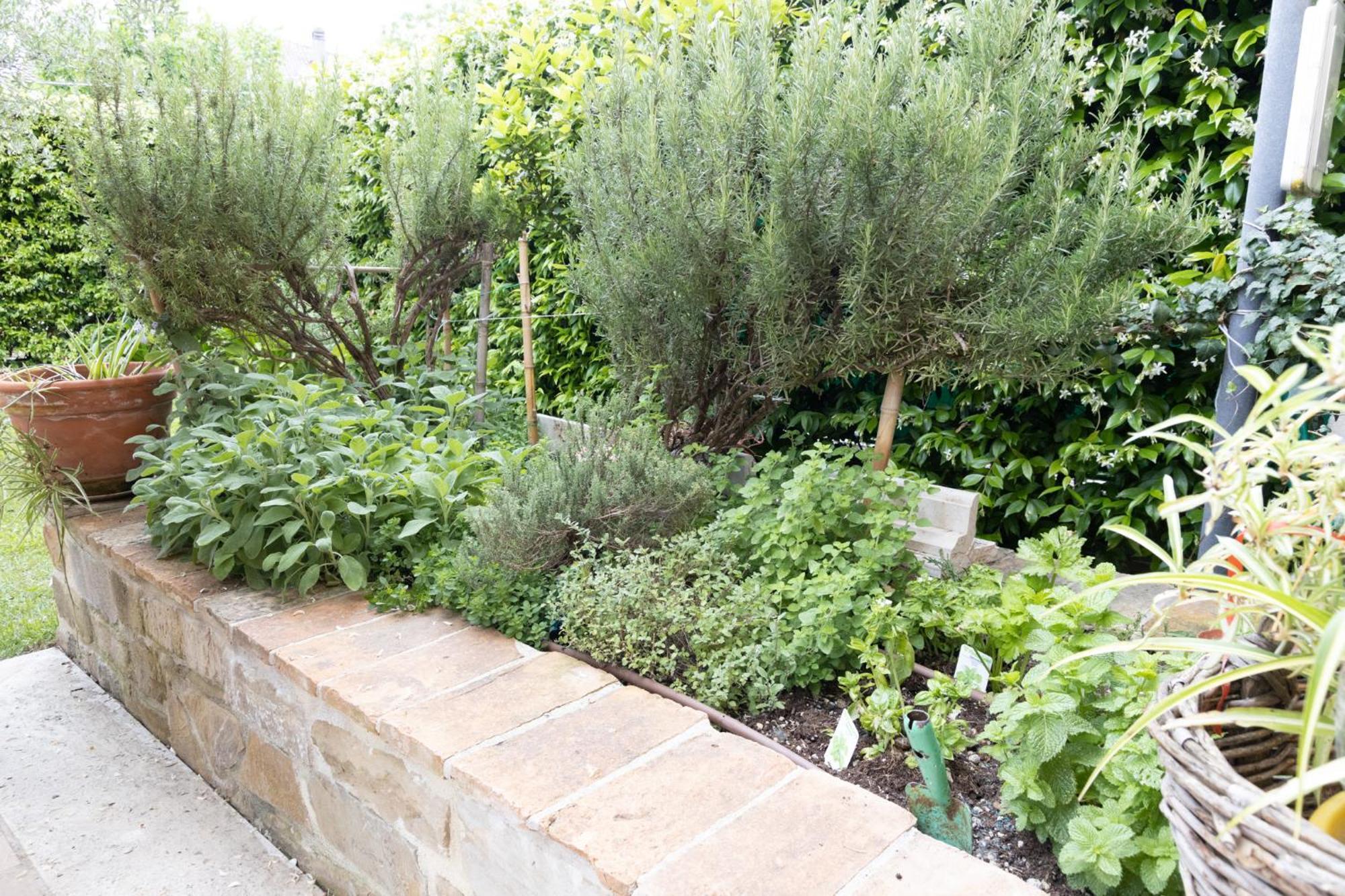 Bed and Breakfast Dimora Fontemaggio Cossignano Екстер'єр фото
