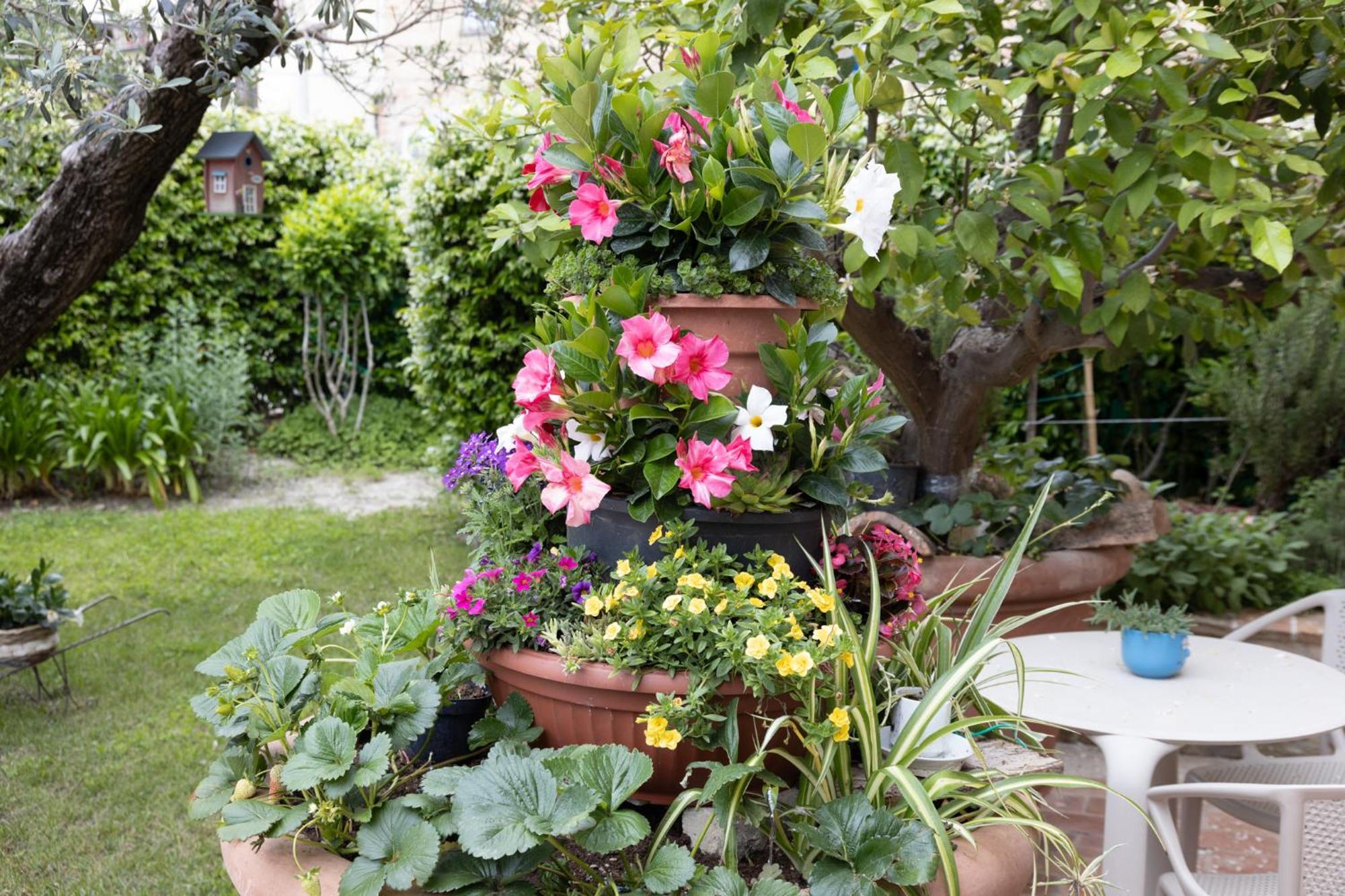 Bed and Breakfast Dimora Fontemaggio Cossignano Екстер'єр фото